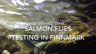 Underwater salmon fishing in Finnmark   ottiperho.com