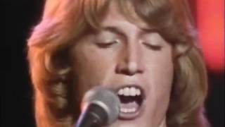 I Just want to be your Everything Subtitulado al Español - Andy Gibb
