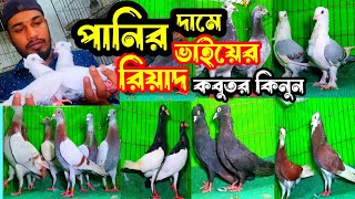 পানির দামে কবুতর কিনুন | সবচেয়ে কমদামে গিরিবাজ রেসার কবুতর কিনুন | বাকবাকুম পায়রা | Pigeon Video |