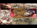 Delicious Crabs and Varieties | Delicious crabs and varieties