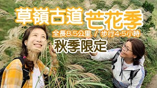 草嶺古道老少閑宜｜季節限定芒花季還是掃把季？內行的福隆便當