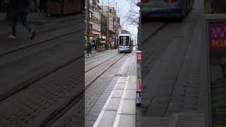 Bogestra Tram Linie 309/310