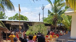 sooranikarai sri nagakanni amman temple சூராணிக்கரை ஸ்ரீ நாககன்னி அம்மன் ஆலயம் கல்லிபரன் பூஜை -2024