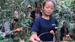 ไปหาใสกับดัก//ໄປຫາໃຊ້ກັບດັກ