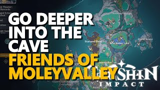 Go deeper into the cave Friends of Moleyvalley Genshin Impact