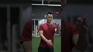 Wing Chun - Gaan Sau