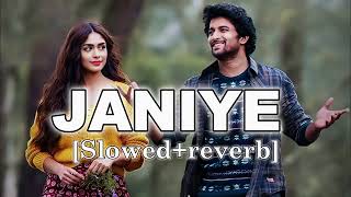 Janiye ( Slowed + Reverb ) || Vishal Mishra || Glass Lofi