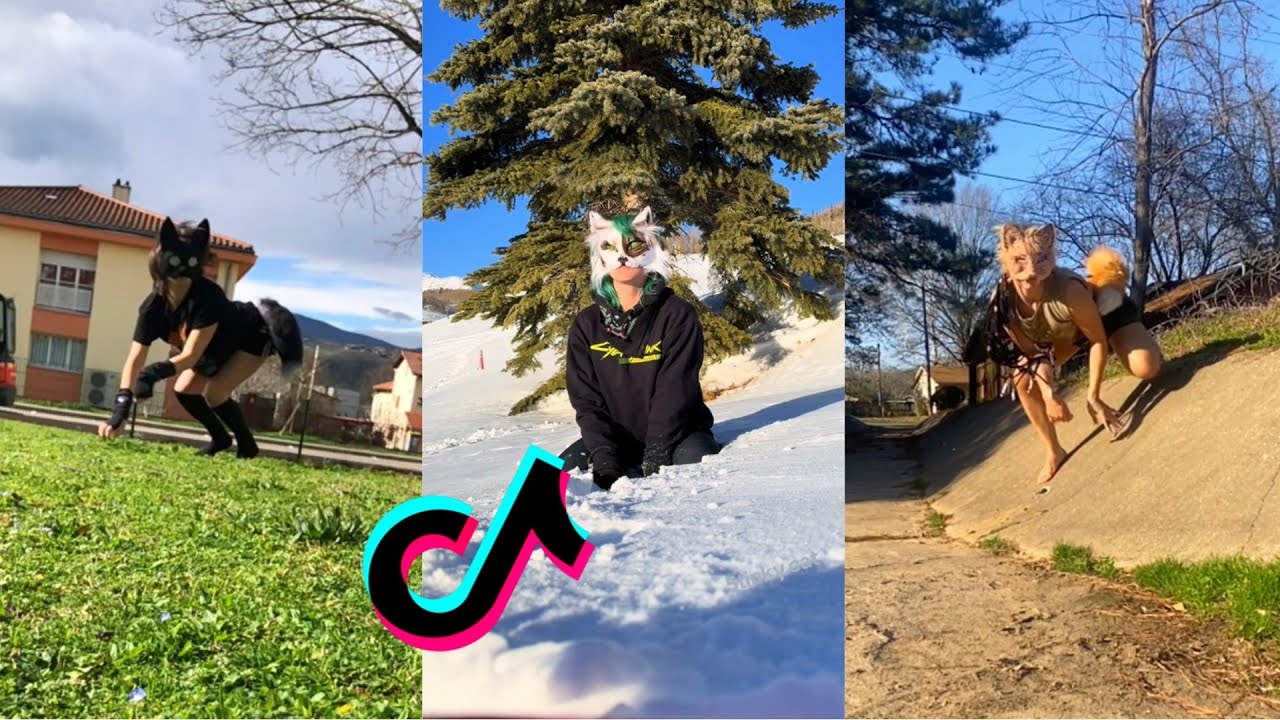 Therian Tiktok Compilation 39 Youtube