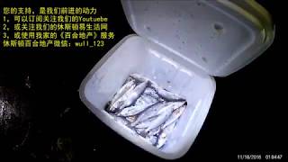 休斯顿夜钓沙鳟鱼之Jighead法 Fishing sand trout fish using jighead【买渔具 请到 UsaZN.com】