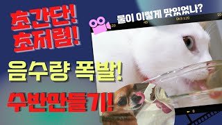 고양이 물먹이는 방법 다이소 수반 물그흔만들기 음수량ㅣ ㅣ먹방ㅣ강아지ㅣ브이로그  How to increase the amount of water cats drink.