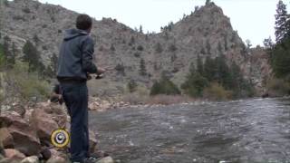 Fishfull Thinker Poudre River with Dynamic Lures HD Trout