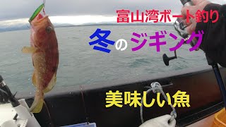 冬のジギングで釣れる魚は旨い　富山湾ボート釣り