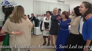 Dragica Stevanovic - Poranila Majka Stara LIVE