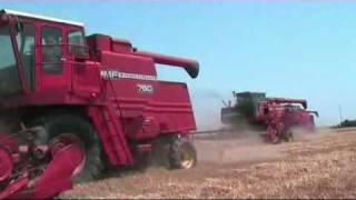 Massey Ferguson Custom Harvesting USA 08