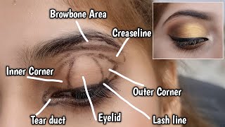 Eye makeup Tutorial : step by step guide for beginners || EyeShadow tips like a Pro!!