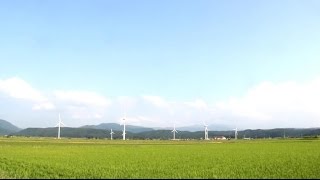 初夏の田園で回る風車