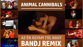 Animal Cannibals - Az én ágyam túl nagy (Bandj remix)