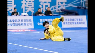 男子其他象形拳 第24名 宁夏 吕星翰 8.546分 23年全国武术套路冠军赛 传统套路 National Wushu Routine Championship Traditional Routine