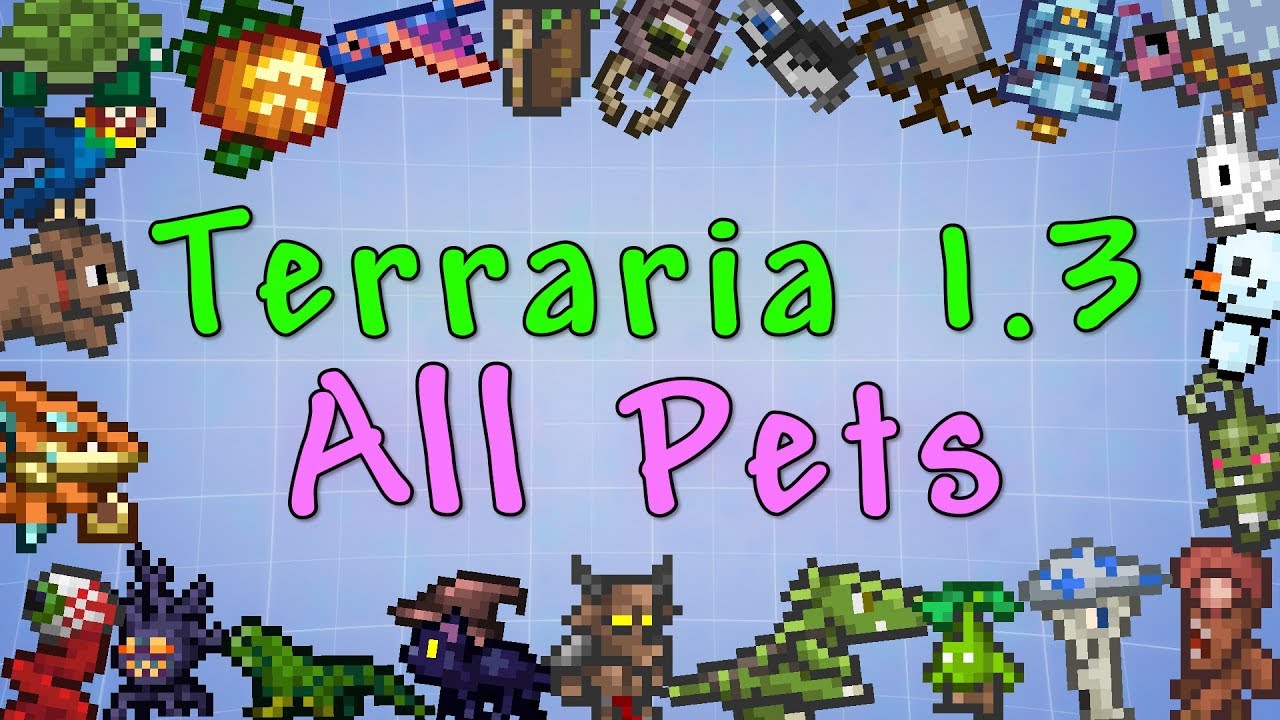 All pets in terraria