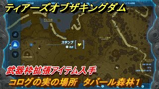 ティアキン　コログの実の場所　タバール森林１　武器枠拡張アイテム入手　＃１２４１　【ゼルダの伝説ティアーズオブザキングダム】