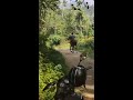 kerala horse ride