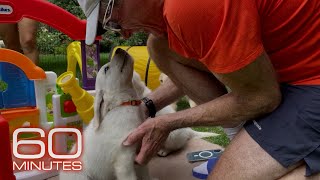 Dogs | 60 Minutes Full Episodes