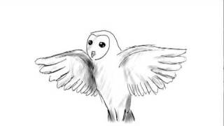 First Rough Test Animation ~ Take Off