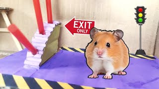 🐹 Hamster Escapes the Granny Maze with Grandpa || Story of Hamster Squad