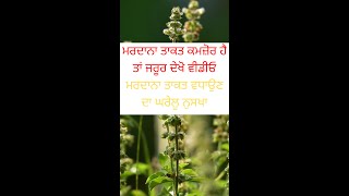 ਮਰਦਾਨਾ ਤਾਕਤ ਕਮਜ਼ੋਰ ਹੈ ਤਾਂ ਜਰੂਰ ਦੇਖੋ ਵੀਡੀਓ ਮਰਦਾਨਾ ਤਾਕਤ ਵਧਾਉਣ ਦਾ ਘਰੇਲੂ ਨੁਸਖਾ  - Punjabi Sehat #shorts