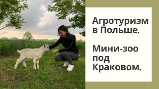 Агротуризм в Польше. Сельская жизнь под Краковом.