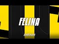 Felina - WIU & Ryan SP (Versão Piseiro) - (DENK no Beat)