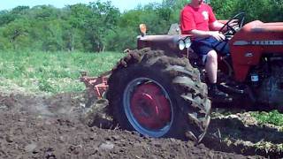 Massey Ferguson 175 Plowing