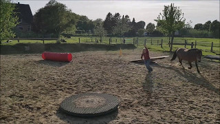 Horse-Agility-Parcours