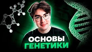 Основы генетики | Биология ОГЭ 2023 | Умскул