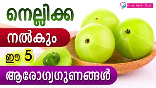 നെല്ലിക്ക നൽകും ഈ 5 ആരോഗ്യഗുണങ്ങൾ | Gooseberry gives these 5 health benefits | Ethnic Health Court