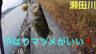 【バス釣り】秋❗️フィールド調査❗️ 琵琶湖　瀬田川