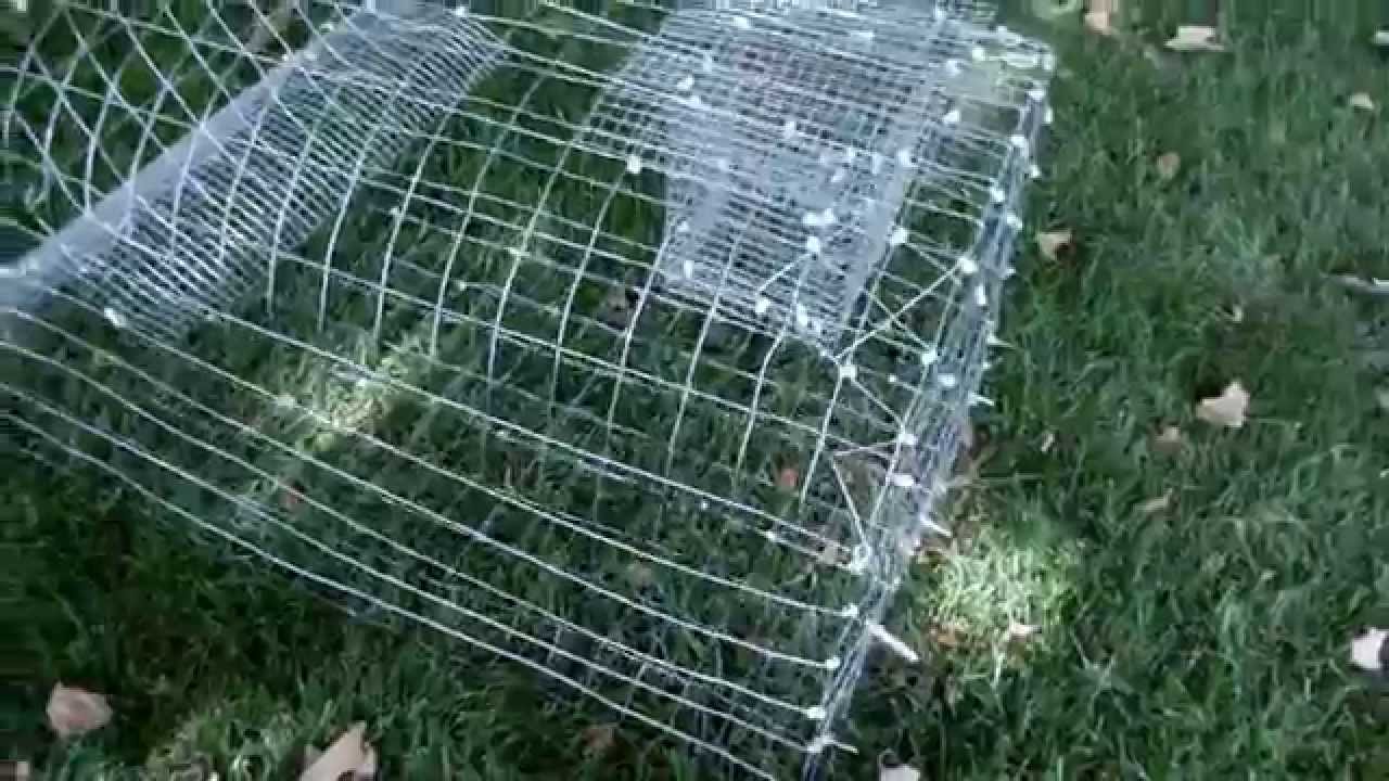 Snapping Turtle Trap Youtube