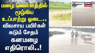 Thoothukudi Heavy Rain | மழை வெள்ளத்தில் மூழ்கிய உப்பாற்று ஓடை.. விவசாய பயிர்கள் கடும் சேதம்