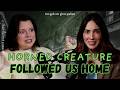 Ghosts, Time Slips & Cemetery Hauntings | True Paranormal Encounters from Haunted New Orleans (x334)