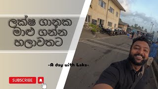 මාළු ගන්න හලාවතට set එකත් එක්ක🐟|A day with Laka