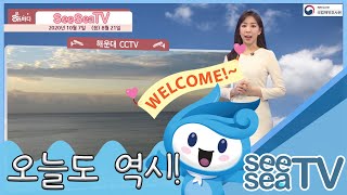 [See Sea TV] 2020년 10월 7일 동해안 남해안 너울성파도 주의! / 해양방송 On바다