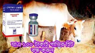 মাএ ১০০ টাকাই গাভির হিটে আসা বন্ধ করুন।  Stop hitting the cow for 100 rupees ||