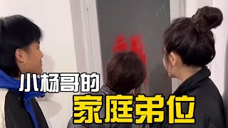 [SUB ENG] 小杨哥的家庭“弟”位 | Brother Yang’s “family status” #疯狂小杨哥