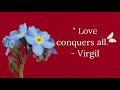 best quotes about love deep quotes about love love quotes by famous people what is love