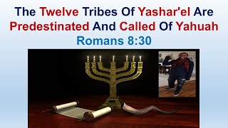 The Twelve Tribes Of Yashar'el Are Predestinated And Called Of Yahuah - Romans 8:30