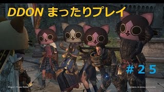 【DDON】まったりプレイ 25