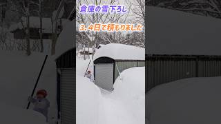 倉庫に積もったモリモリの雪を下ろします！【除雪】#北海道 #ドカ雪 #パウダースノー #雪下ろし #除雪