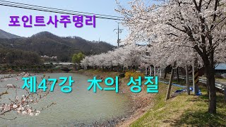 포인트사주명리: 제47강(기초) 목의 성질