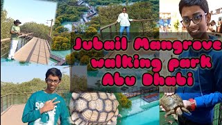 Abu Dhabi jubail Island mangrove walking park  amazing wooden bridge work