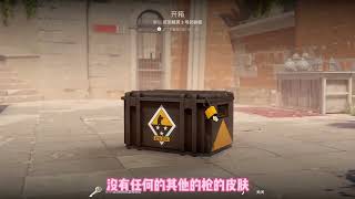 你们见过这个箱子出金吗#cs2 #csgo开箱 #看看cs2怎么个事